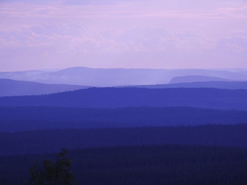 utsikt norr om Vrångtjärn.jpg