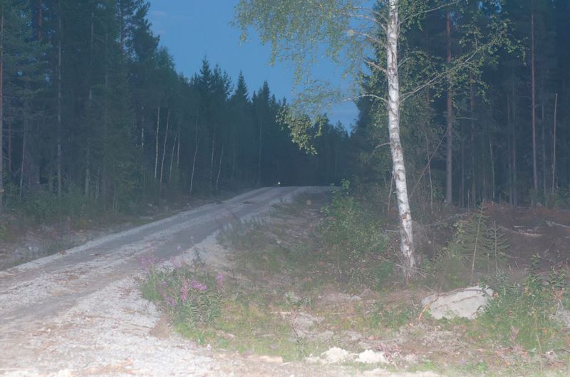lodjur offersjön 2013-08-04