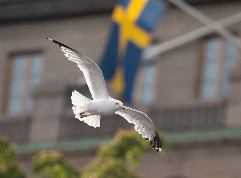 Senaste 2025