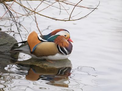 _C260448.jpg