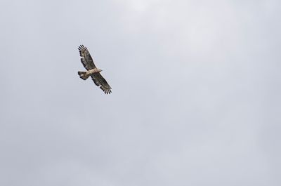 g13/60/809460/3/173868996.b0d8641a.JPEG