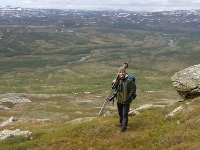 Fjällen 2019