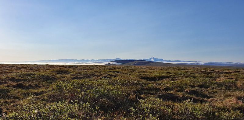 MP72 (Coffe Dome), Kougarok road, Nome