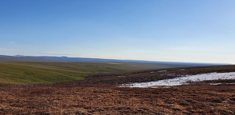 MP72 (Coffe Dome), Kougarok road, Nome