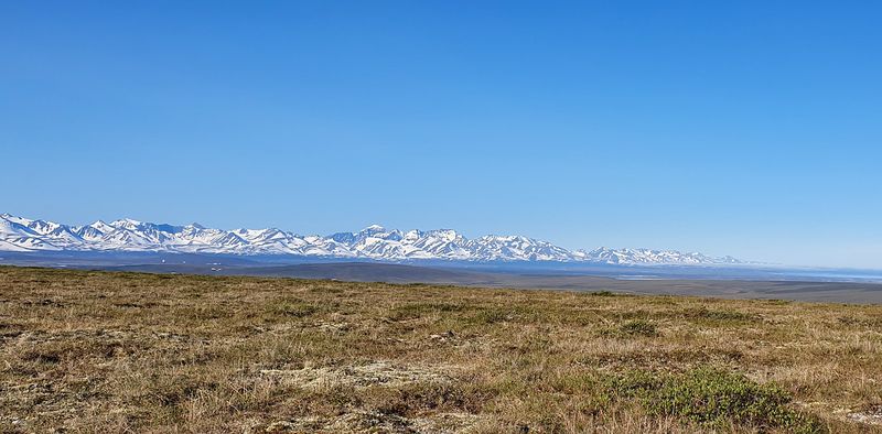 MP72 (Coffe Dome), Kougarok road, Nome