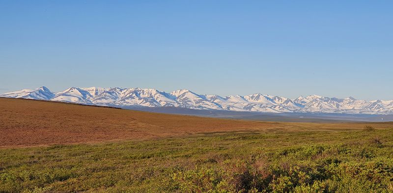 Nome-MP72 (Coffe Dome), Kougarok road, Nome