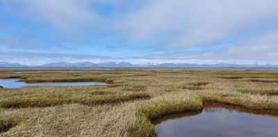 Safety Sound, Nome