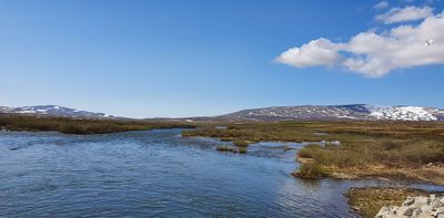 Sinuk river, Teller road, Nome