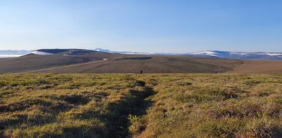 MP72 (Coffe Dome), Kougarok road, Nome