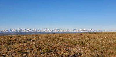 MP72 (Coffe Dome), Kougarok road, Nome