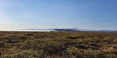 MP72 (Coffe Dome), Kougarok road, Nome