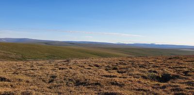 MP72 (Coffe Dome), Kougarok road, Nome