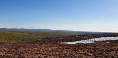 MP72 (Coffe Dome), Kougarok road, Nome