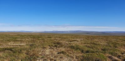MP72 (Coffe Dome), Kougarok road, Nome
