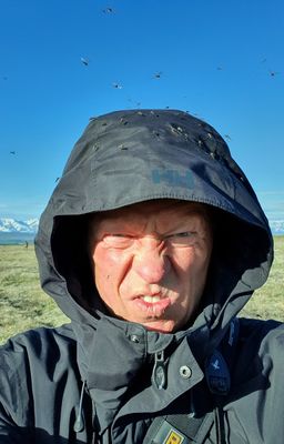 MP72 (Coffe Dome), Kougarrok road, Nome