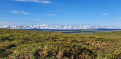 MP72 (Coffe Dome), Kougarrok road, Nome