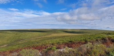 MP72 (Coffe Dome), Kougarrok road, Nome