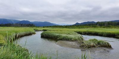 Seward Airport Marsh, Seward