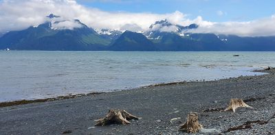 Lowell Point State Recreation Site, Seward