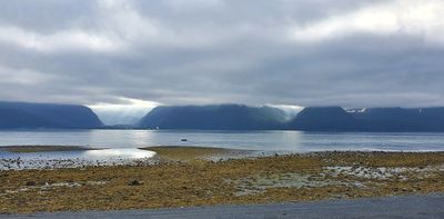 Lowell point, Seward