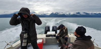 Seward boat trip
