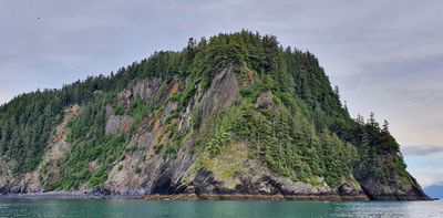 Seward boat trip