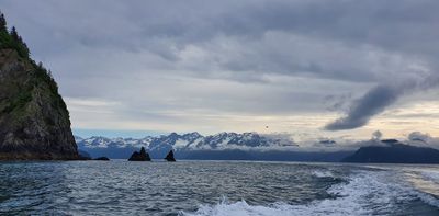 Seward boat trip