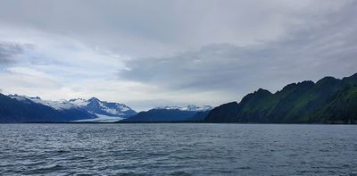 Seward boat trip