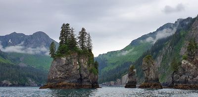 Seward boat trip
