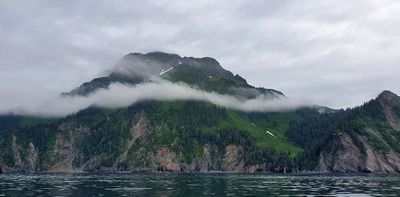 Seward boat trip