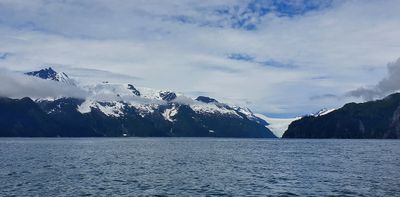 Seward boat trip
