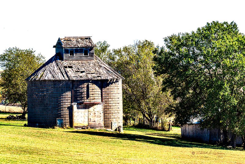 On my way back to my hometown I pass by this fine old aging corncrib. Decided it was time to get a photo of it. Like everything else farming has moved forward but some of the artifacts of the past remain. One of these days that roof will be completely gone and all that will remain is the crib. You can tell this was a fine corncrib.

An image may be purchased at https://edward-peterson.pixels.com/featured/fine-old-aging-corncrib-ed-peterson.html