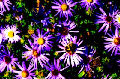 g13/60/862960/3/173107640.78a3fa41.JPEG