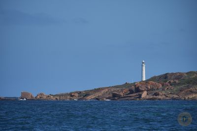 DSC07675.jpg