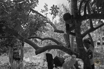 L1002365.jpg