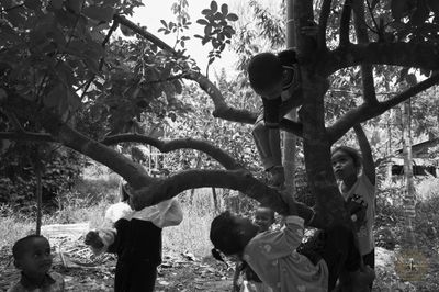 L1002366.jpg