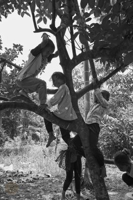 L1002373.jpg