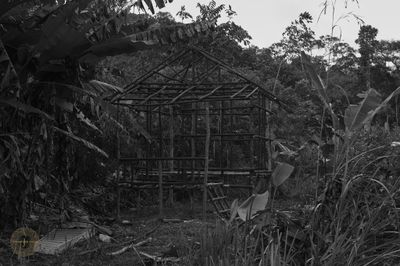 L1002411.jpg
