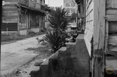 L1002419.jpg