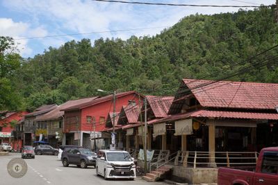 R0009019.jpg