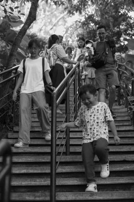 L1002580.jpg