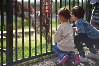 Asahiyama Zoo