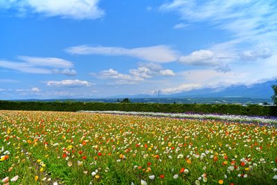 DSC_1733.jpg