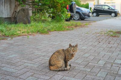 DSC01272.jpg