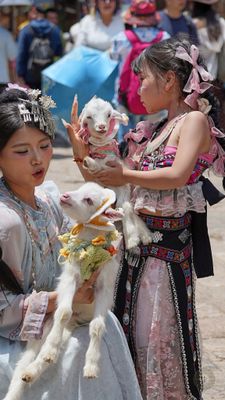 DSC06705.jpg