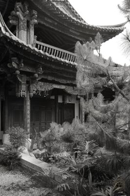 L1002936.jpg
