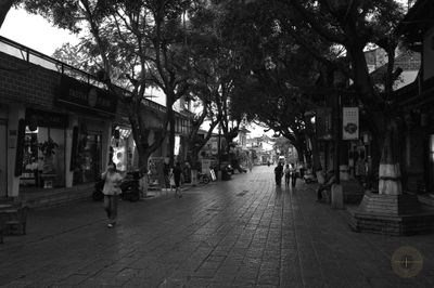 L1002946.jpg