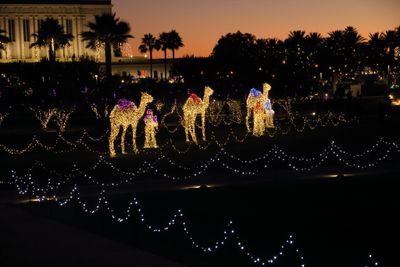 Mesa Mormon Temple Lights