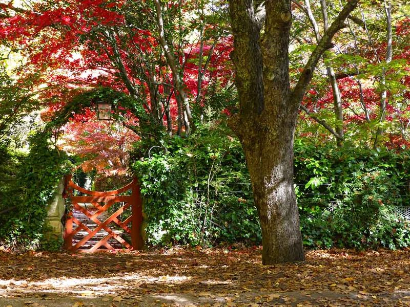 Bebeah Gardens