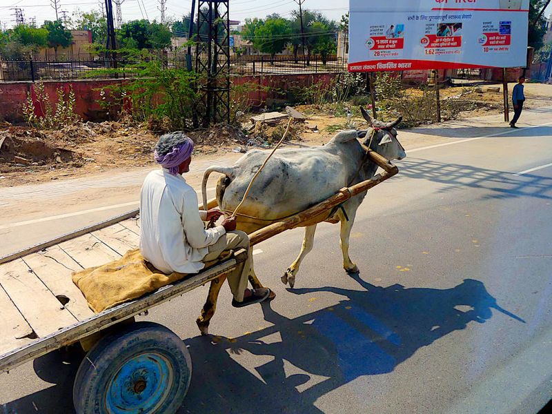 On the Road from Mandawa to Bikaner